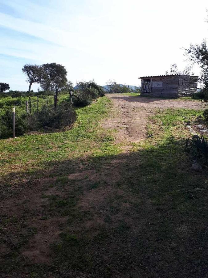 Willa Casa Gattu Porto-Vecchio  Zewnętrze zdjęcie