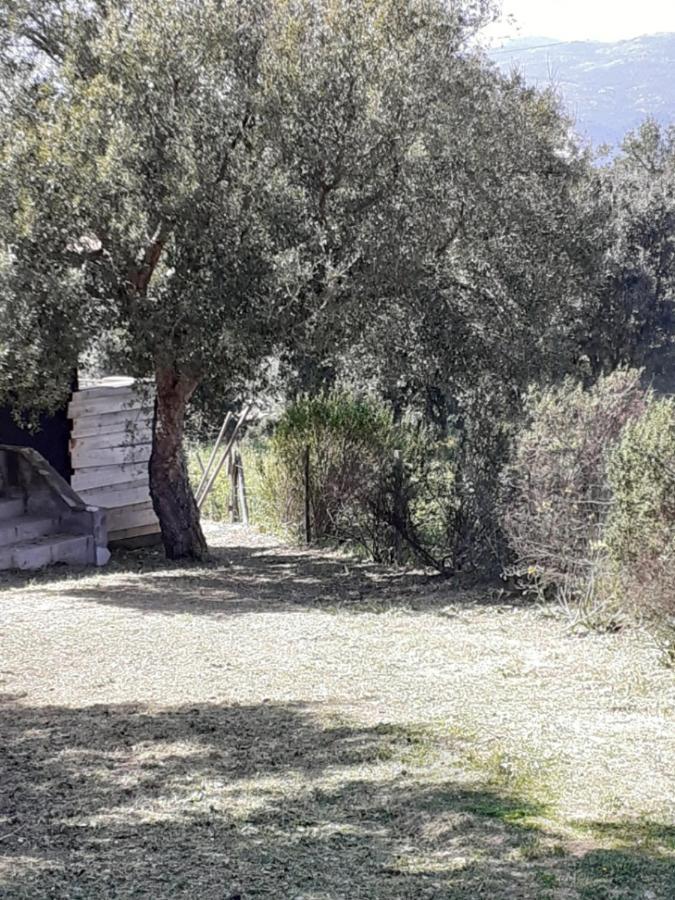 Willa Casa Gattu Porto-Vecchio  Zewnętrze zdjęcie