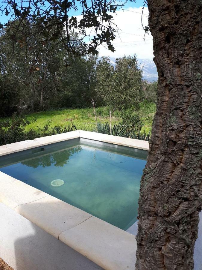 Willa Casa Gattu Porto-Vecchio  Zewnętrze zdjęcie